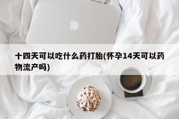 打胎药药店有卖十四天可以吃什么药打胎(怀孕14天可以药物流产吗)